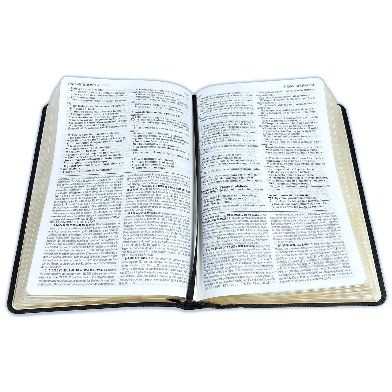 Biblia de Estudio de la Vida Plena para Jóvenes (Negro)