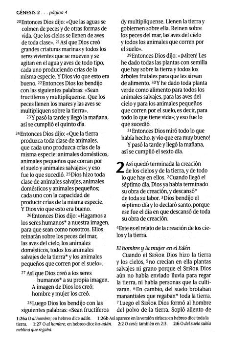 Santa Biblia NTV, Edición personal, letra grande, DuoTono SentiPiel Rosa/Café