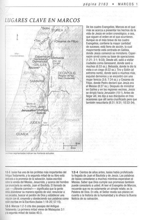 Biblia de estudio del diario vivir NTV, letra grande