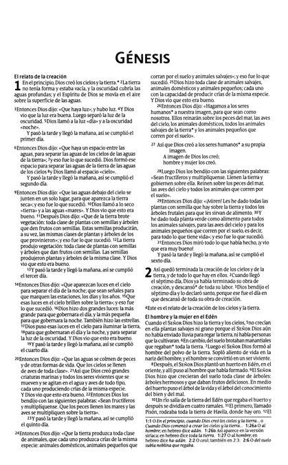 Biblia económica NTV, Edición semilla, Tapa rústica