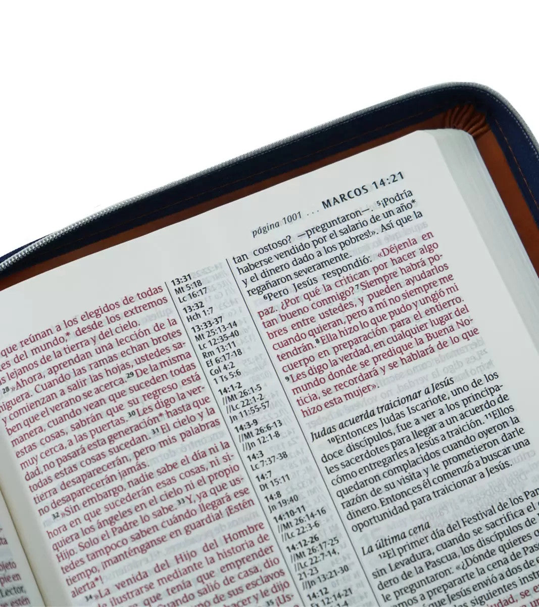 Santa Biblia NTV, Edición zíper con referencias, letra 9,5 puntos