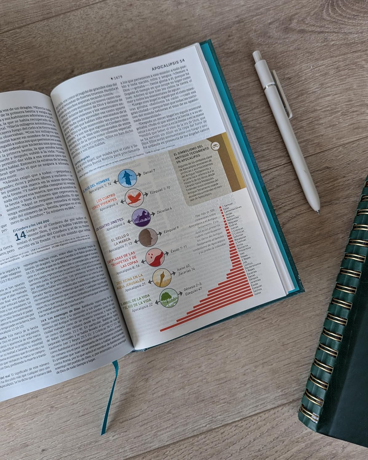 Biblia de estudio del diario vivir para jóvenes NTV con Filament, Tapa dura, Verde