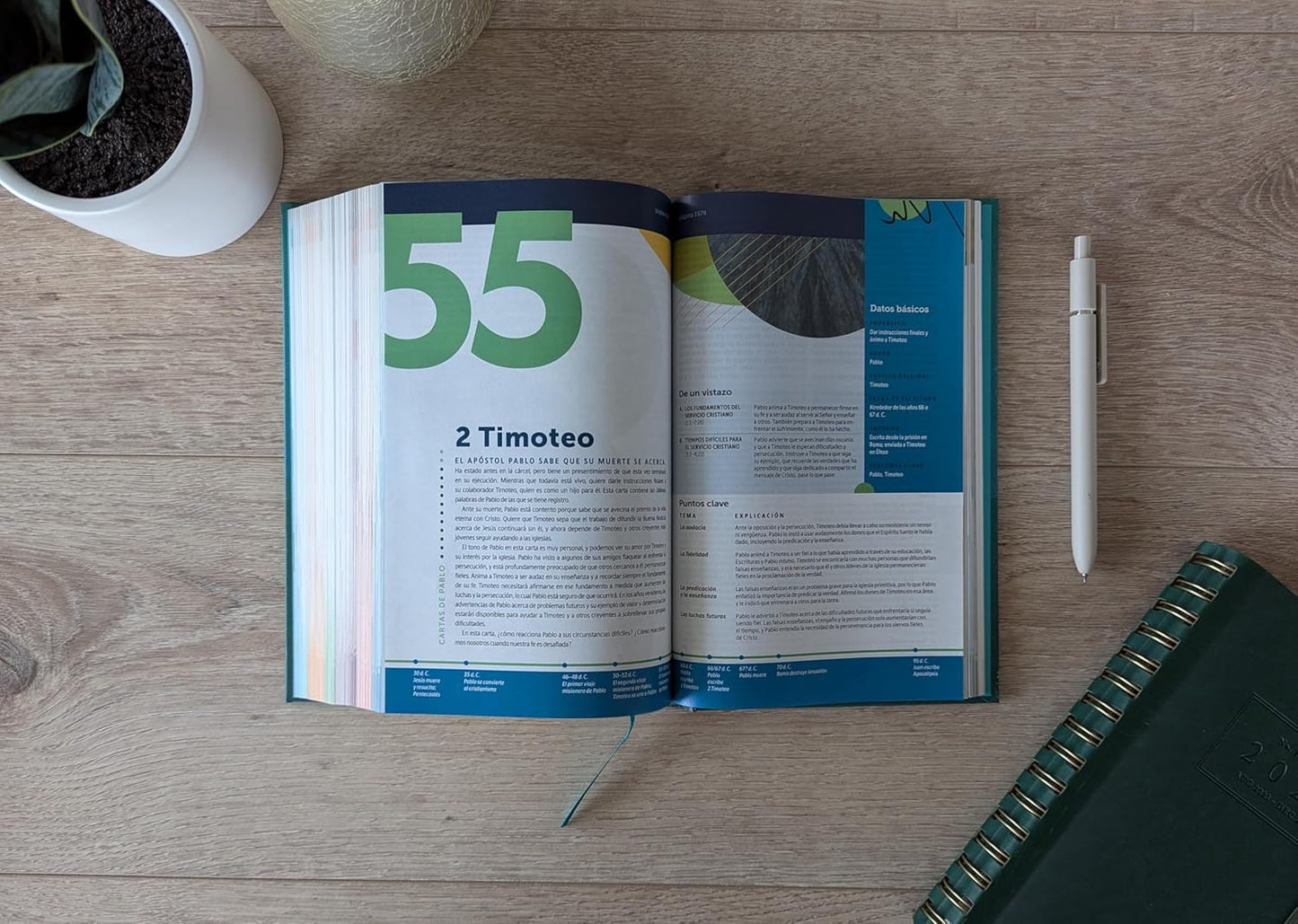 Biblia de estudio del diario vivir para jóvenes NTV con Filament, Tapa dura, Verde