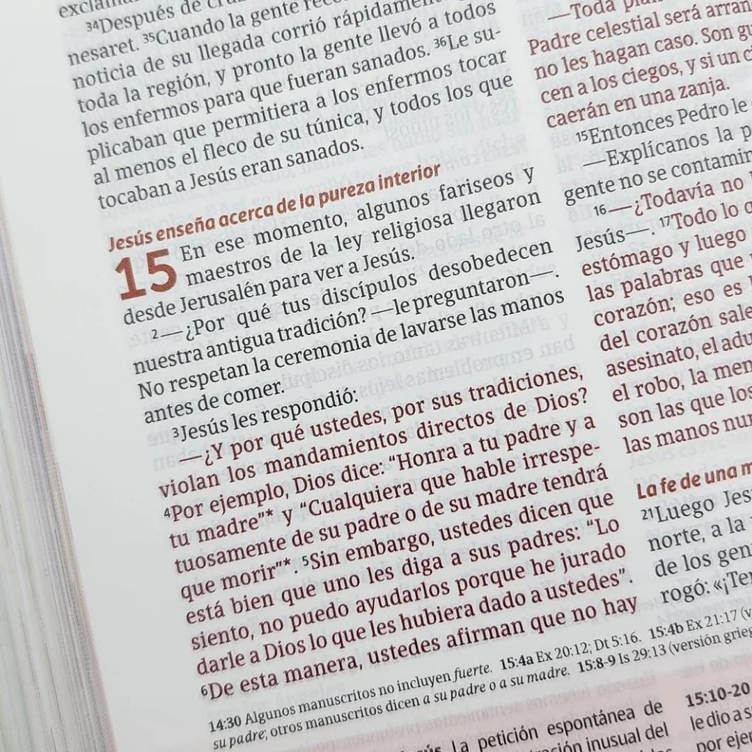 Biblia de estudio del diario vivir para jóvenes NTV con Filament, Tapa dura, Verde