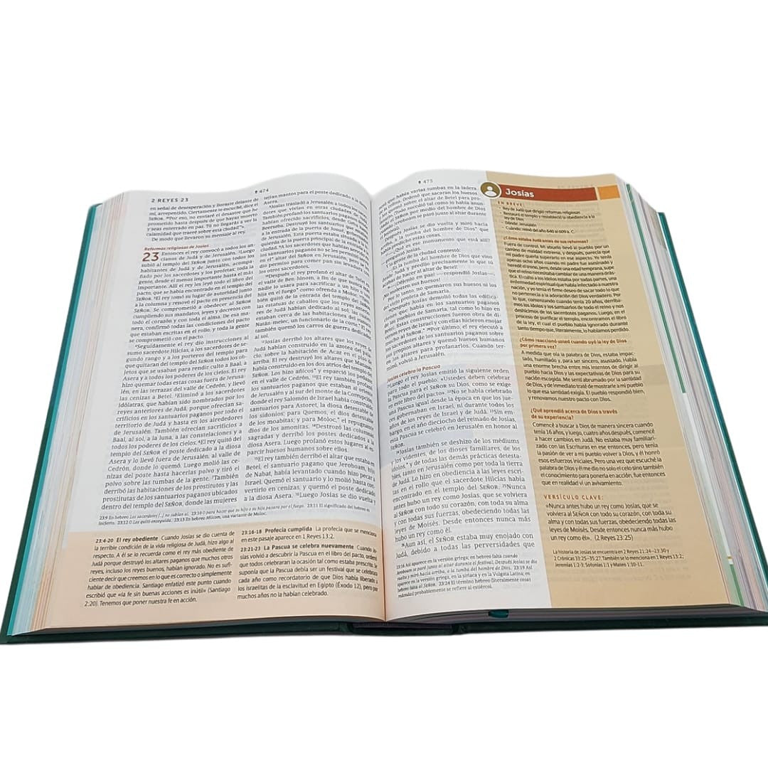 Biblia de estudio del diario vivir para jóvenes NTV con Filament, Tapa dura, Verde