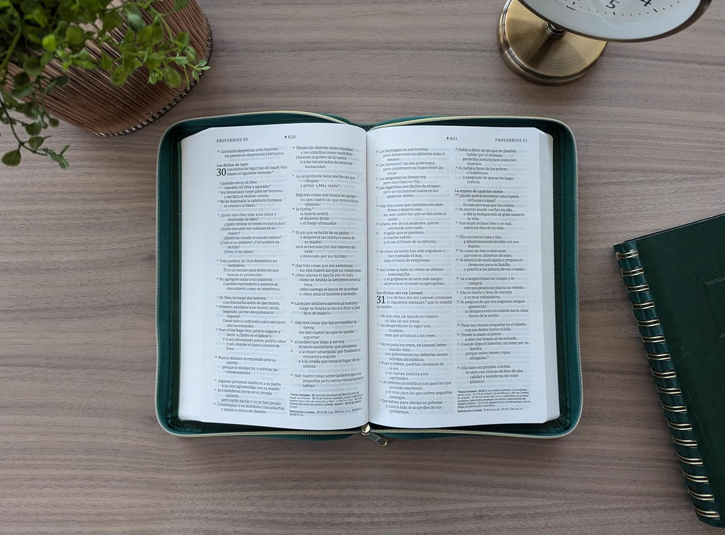 Biblia ultrafina NTV cierre, con Filament