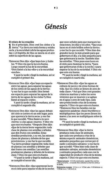 Biblia ultrafina NTV cierre, con Filament