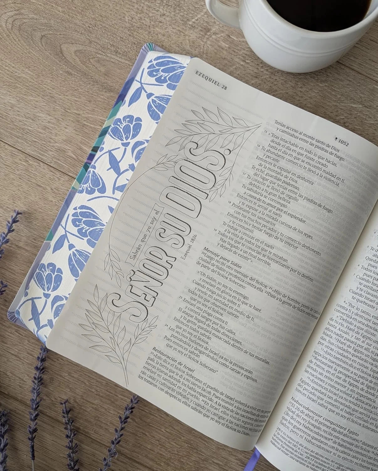 Biblia Inspira Ntv Letra Grande Con Filament