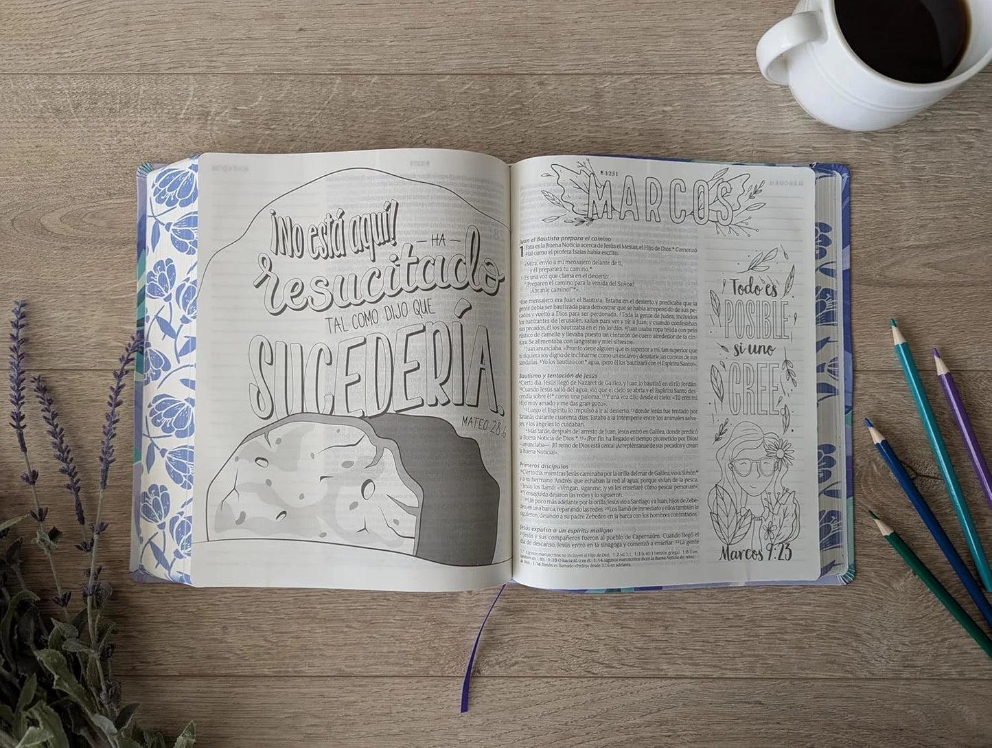 Biblia Inspira Ntv Letra Grande Con Filament