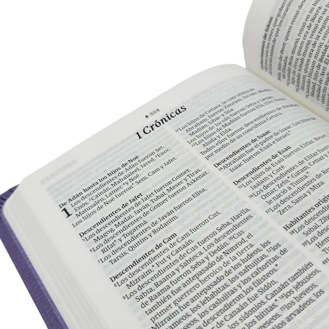 Biblia valor prémium NTV con Filament (SentiPiel, Púrpura)