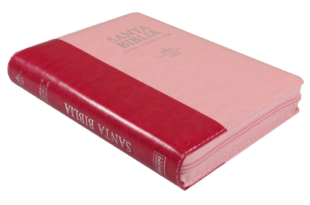 Biblia Reina Valera 1960 Mediana Letra Gigante Imitación Piel Rosa Rosa Indice cierre mujer