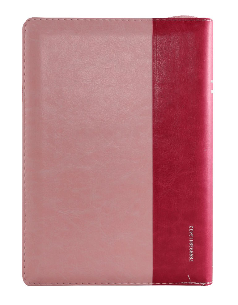 Biblia Reina Valera 1960 Mediana Letra Gigante Imitación Piel Rosa Rosa Indice cierre mujer