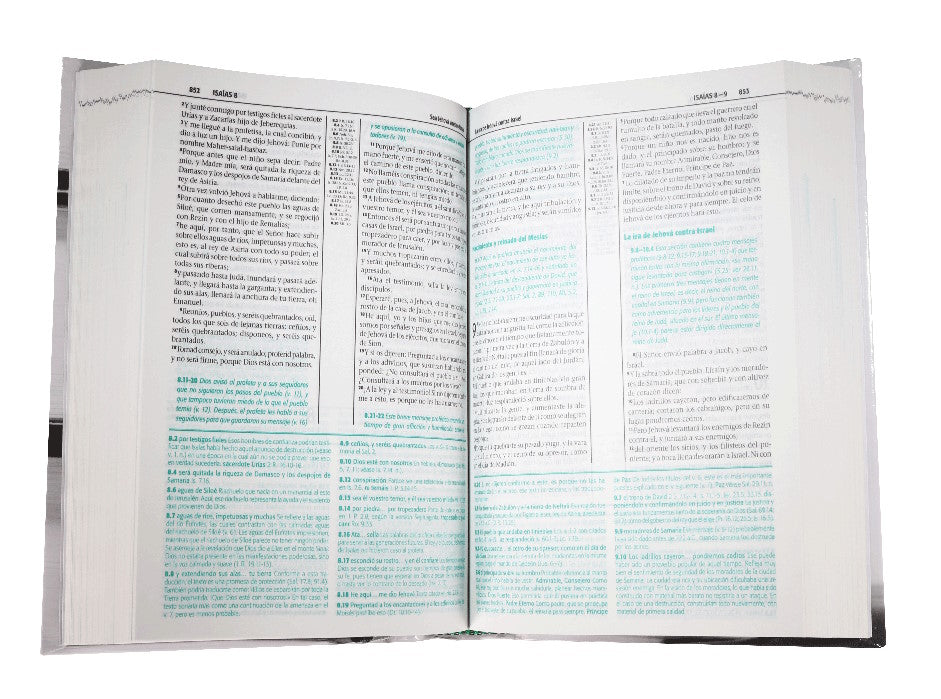 Biblia de Estudio Esquematizada RVR1960 mediana tapa dura