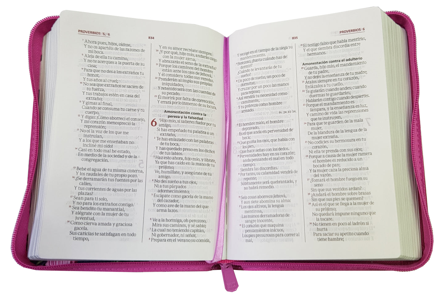 Biblia Reina Valera 1960 Compacta Letra Mediana 9 puntos Imitación Piel Magenta Flores QR