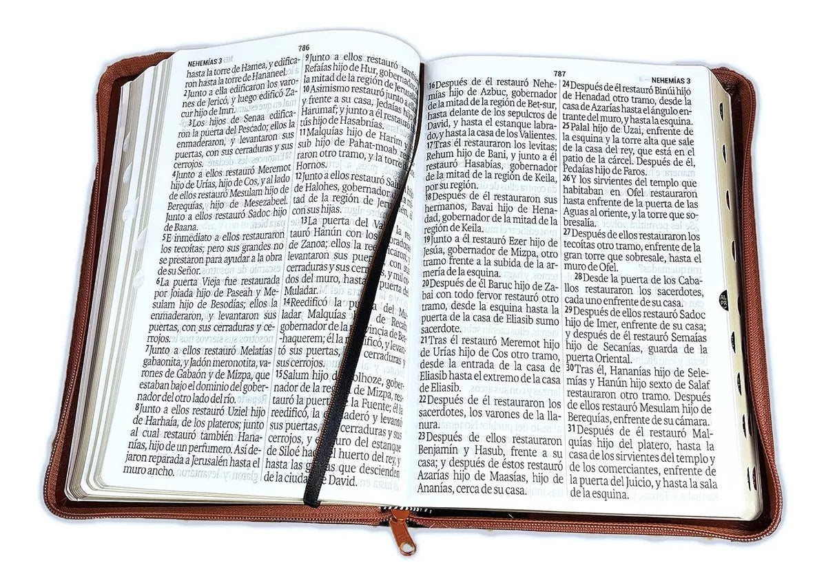 Biblia Reina Valera 1960 Letra Gigante 14 puntos cierre índice Tapa PU duotono marrón