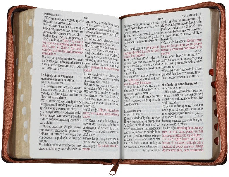 Biblia Reina Valera 1960 Letra Gigante 14 puntos cierre índice Tapa PU duotono marrón