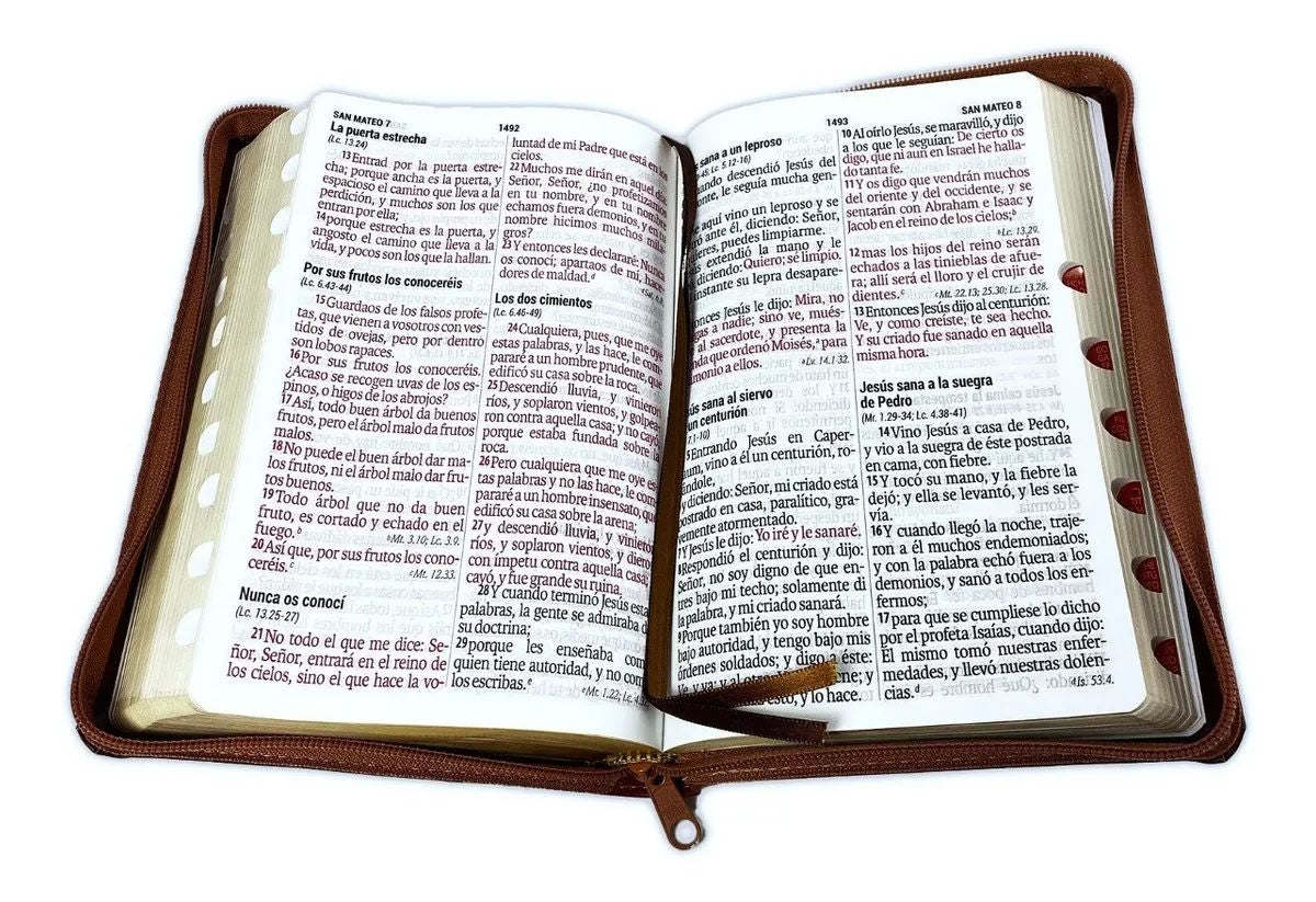 Biblia Reina Valera 1960 Letra Gigante 14 puntos cierre índice Tapa PU duotono
