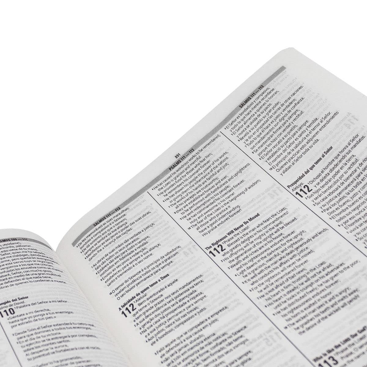 Biblia Trilíngue Portugués Inglés Español NAA ESV RVC Marrón Símil Piel