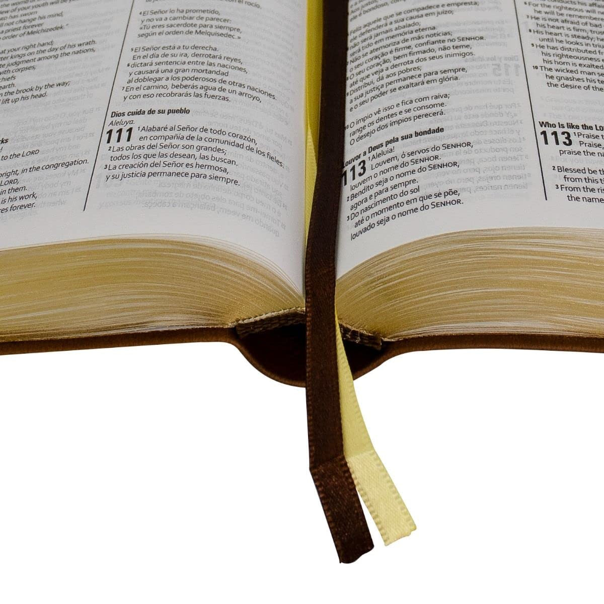 Biblia Trilíngue Portugués Inglés Español NAA ESV RVC Marrón Símil Piel