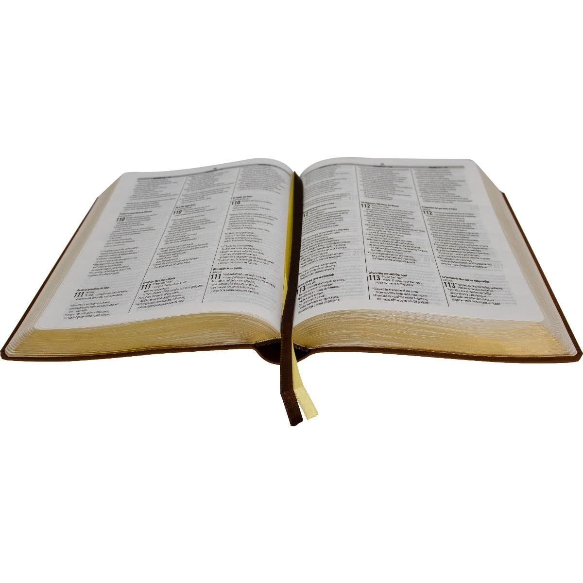 Biblia Trilíngue Portugués Inglés Español NAA ESV RVC Marrón Símil Piel