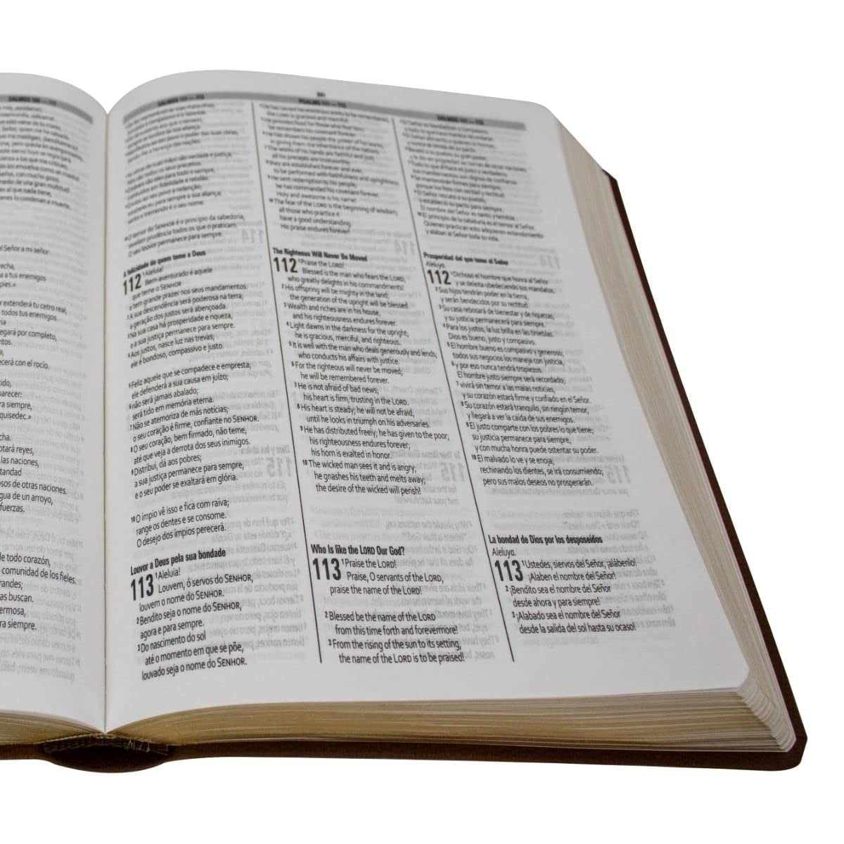 Biblia Trilíngue Portugués Inglés Español NAA ESV RVC Marrón Símil Piel