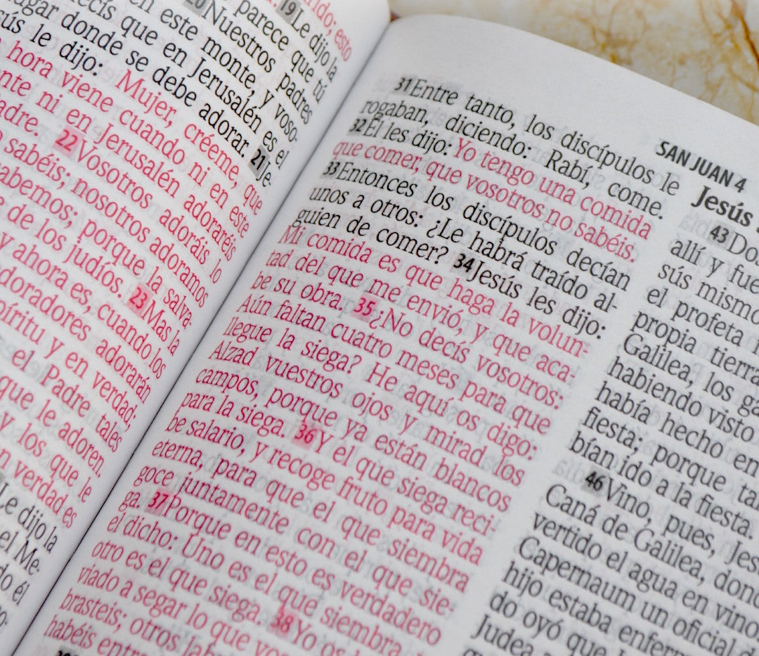 Biblia Rvr 1960 Letra Gigante 14 Pts. Concordancia Lila