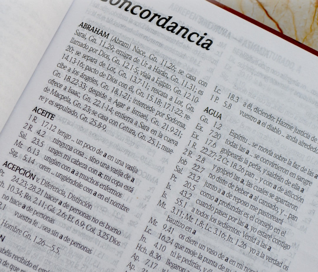 Biblia Rvr 1960 Letra Gigante 14 Pts. Concordancia Lila