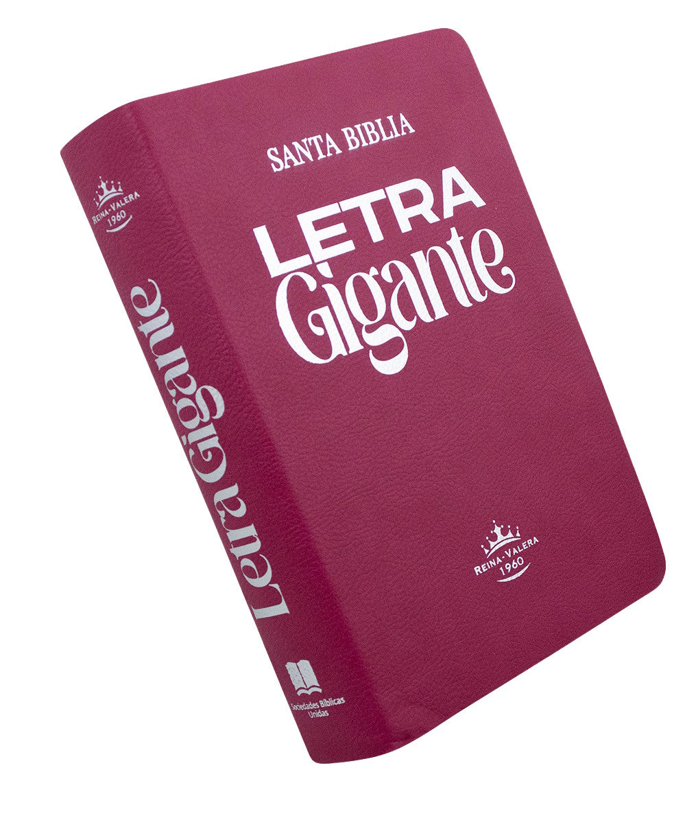 Biblia Rvr 1960 Letra Gigante 14 Pts. Concordancia Rosado