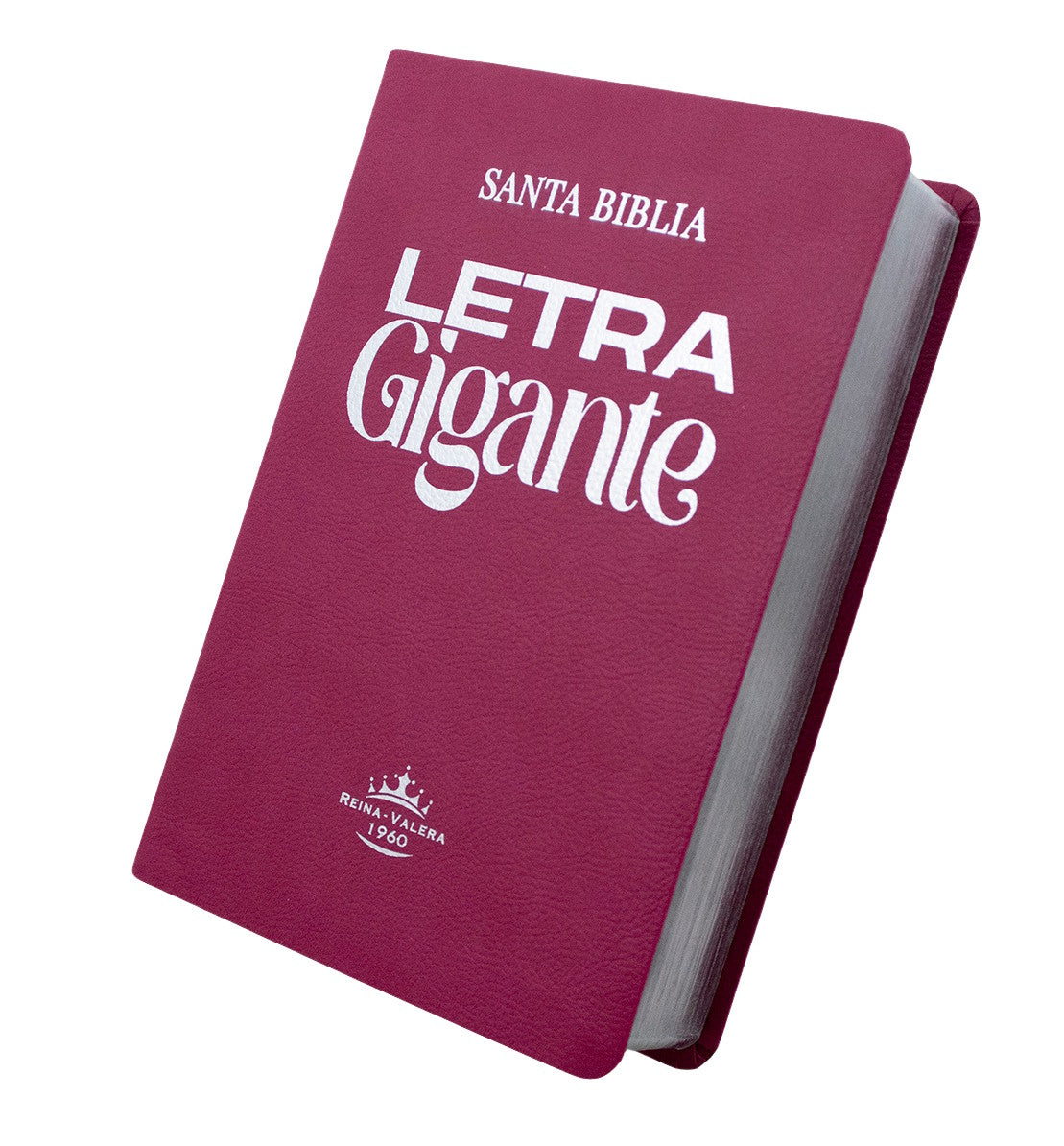 Biblia Rvr 1960 Letra Gigante 14 Pts. Concordancia Rosado