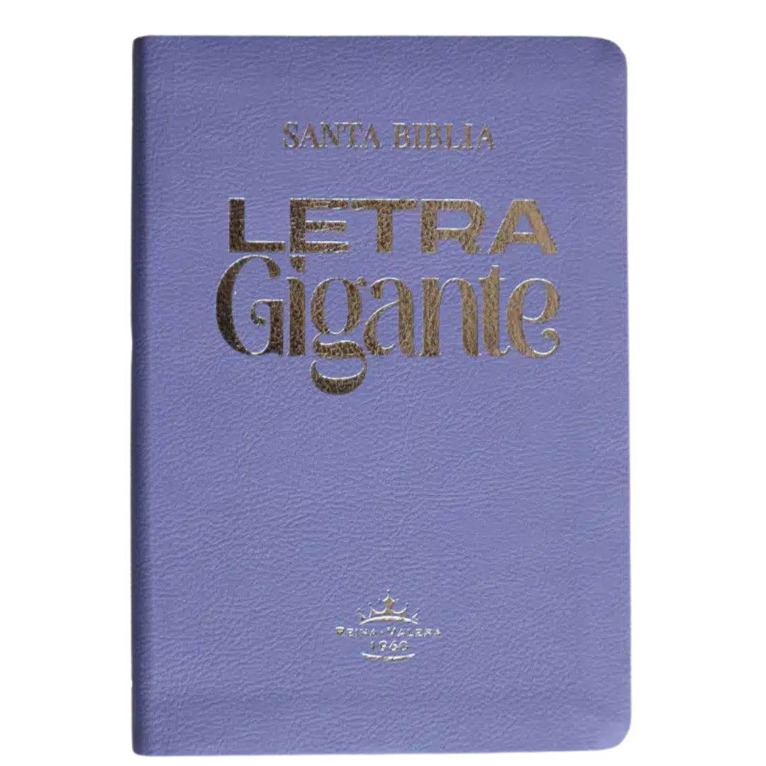 Biblia Rvr 1960 Letra Gigante 14 Pts. Concordancia Lila