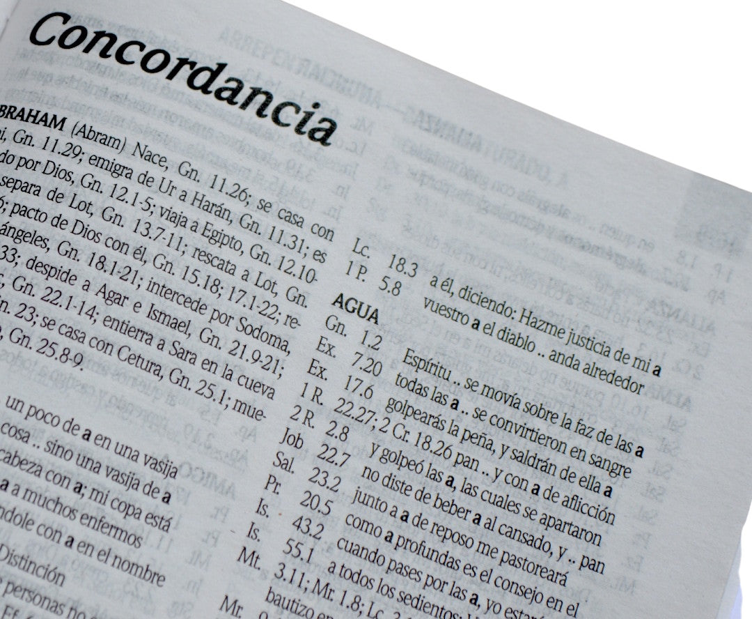 Biblia Rvr 1960 Letra Gigante 14 Pts. Concordancia Verde