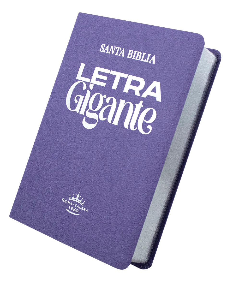Biblia Rvr 1960 Letra Gigante 14 Pts. Concordancia Lila