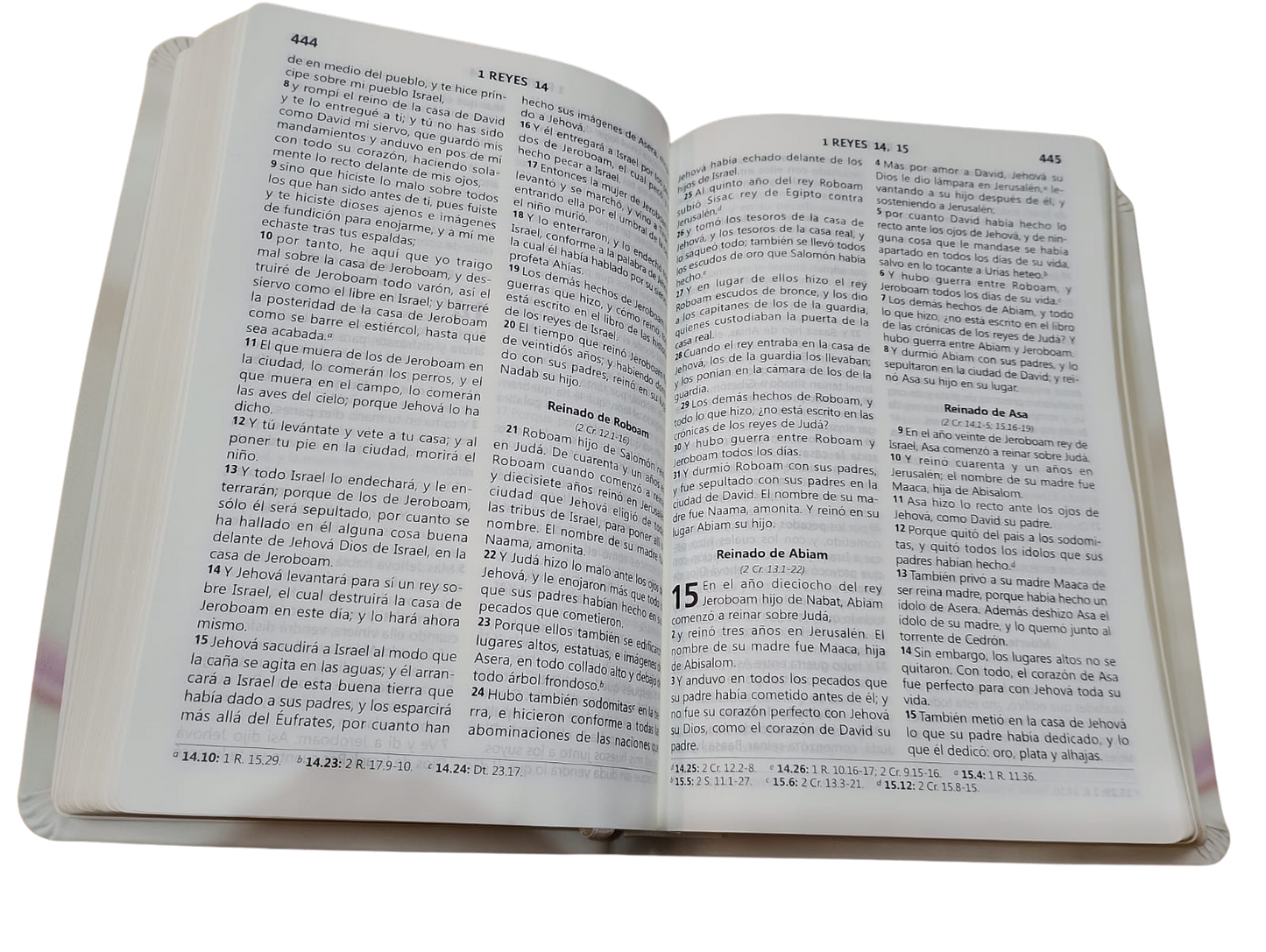Biblia Regalo de Bodas / Aniversario Reina Valera 1960