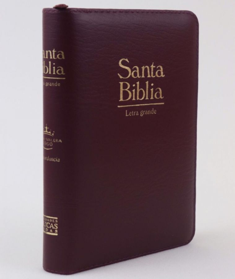 Reina Valera 60 concordancia cierre color negro tamaño agenda