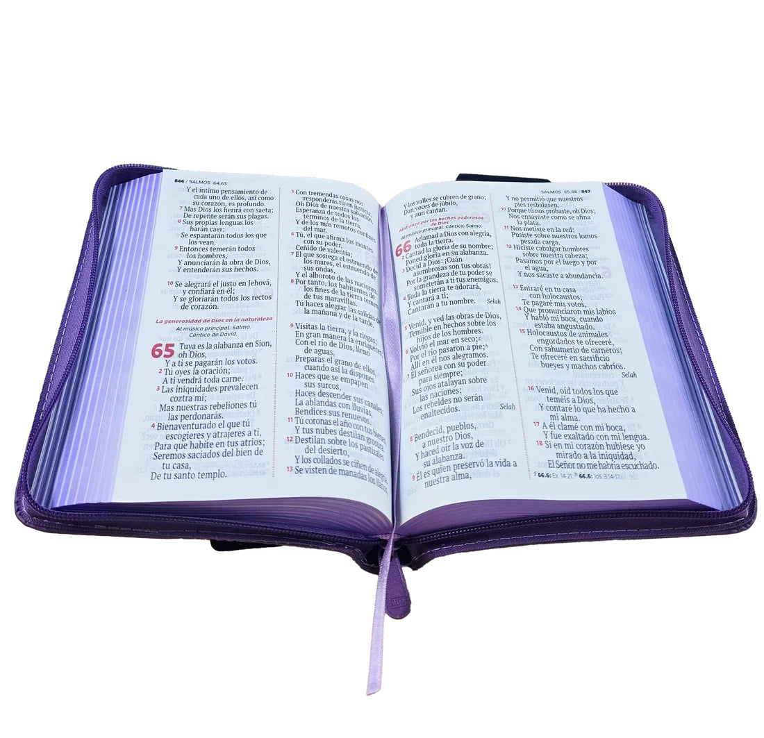 Biblia Reina Valera 1960 Compacta Letra Grande 11 puntos PJR Cierre Color Lilia Con Ayudas QR