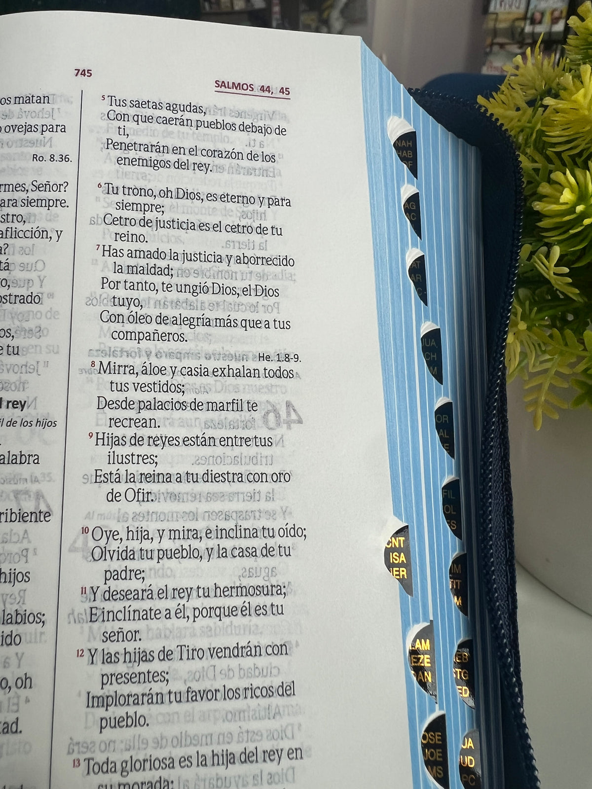 Santa Biblia Rvr1960 Jeans De Bolsillo Cierre