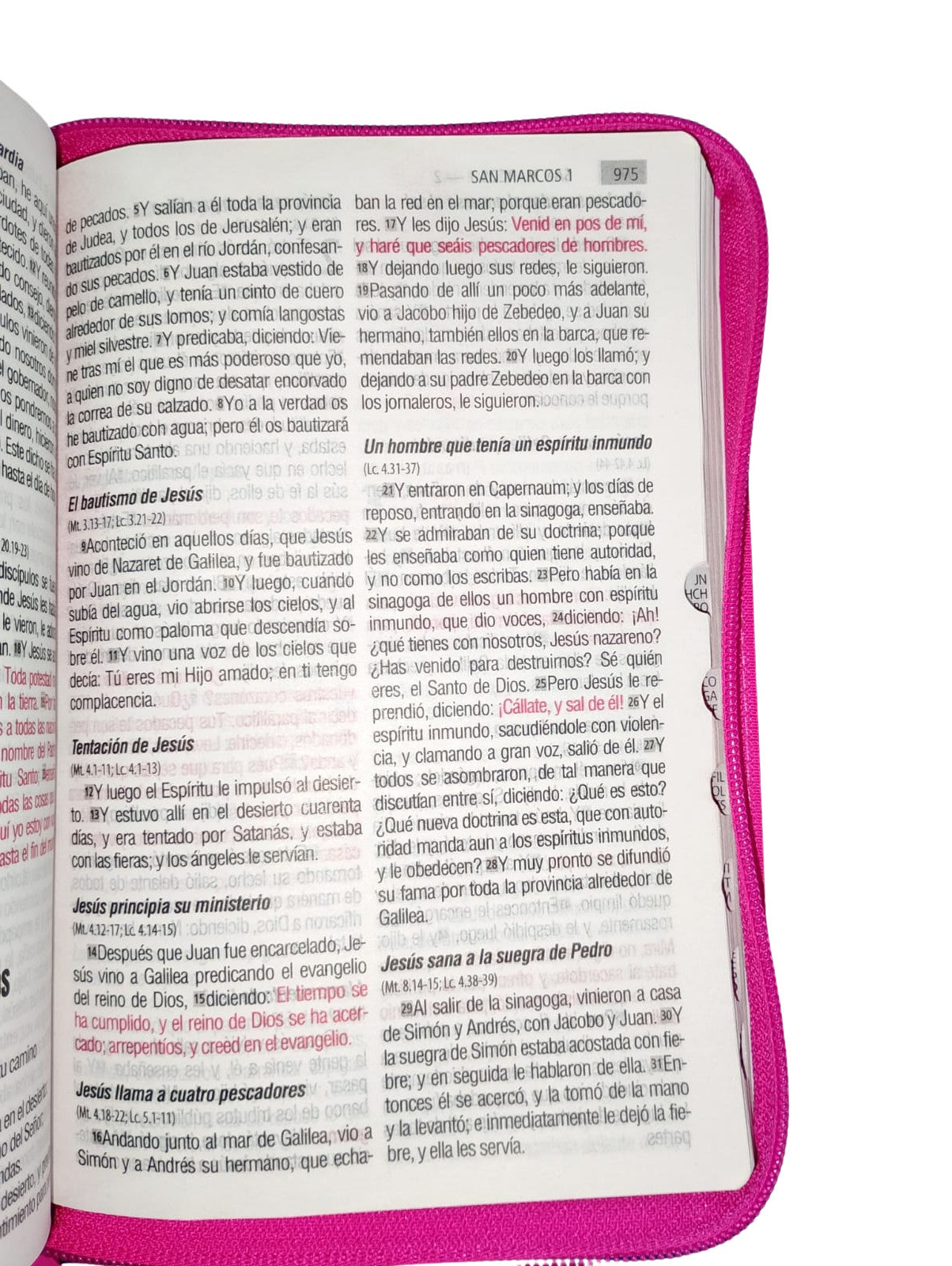 Biblia Rvr1960 Letra Grande 12 Puntos Rosado Cierre Índice
