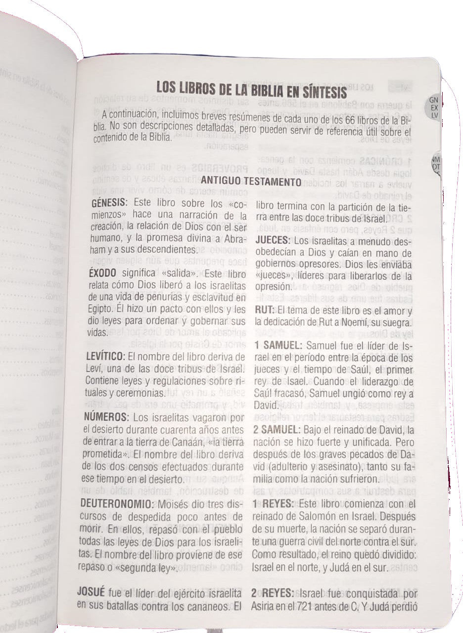 Bibila RVR1960 letra grande cierre índice azul