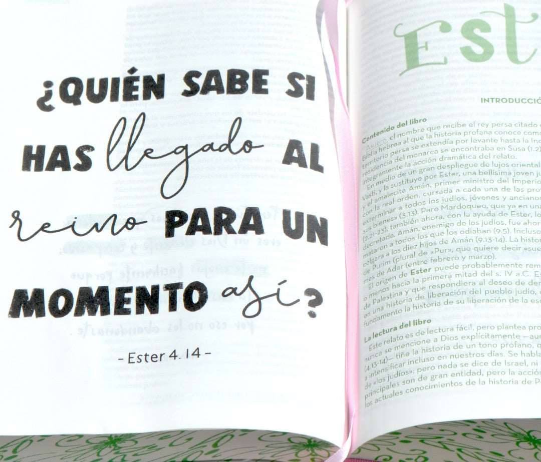 Biblia Arte RVC devocionales lettering grande