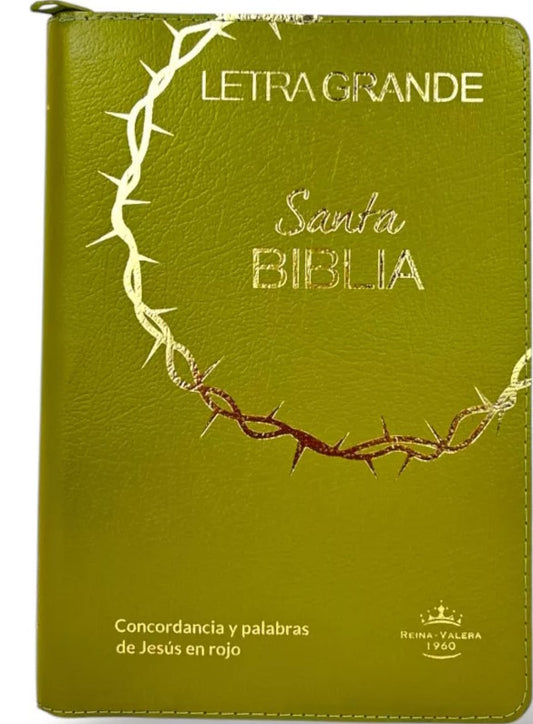 Bibila RVR1960 letra grande cierre índice verde