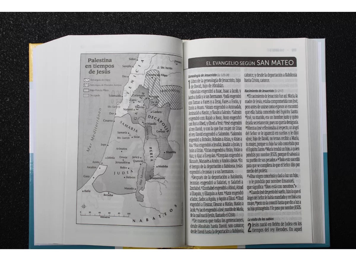 Biblia Tapa dura Reina Valera Contemporánea Letra Gigante