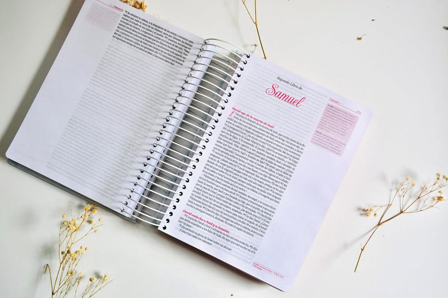 Biblia Crear RVR 1960 con espacio para notas y dibujos.