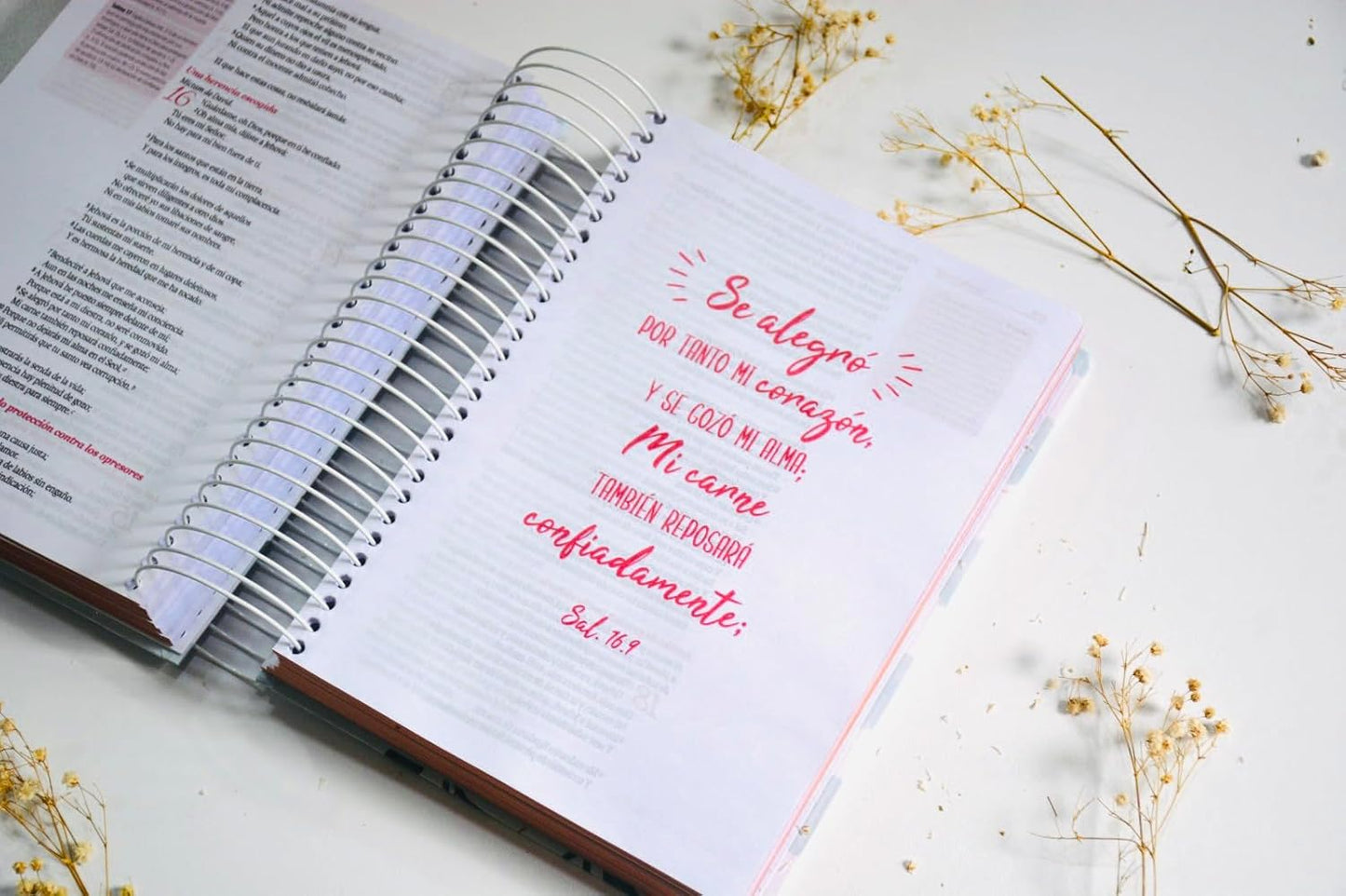 Biblia Crear RVR 1960 con espacio para notas y dibujos.