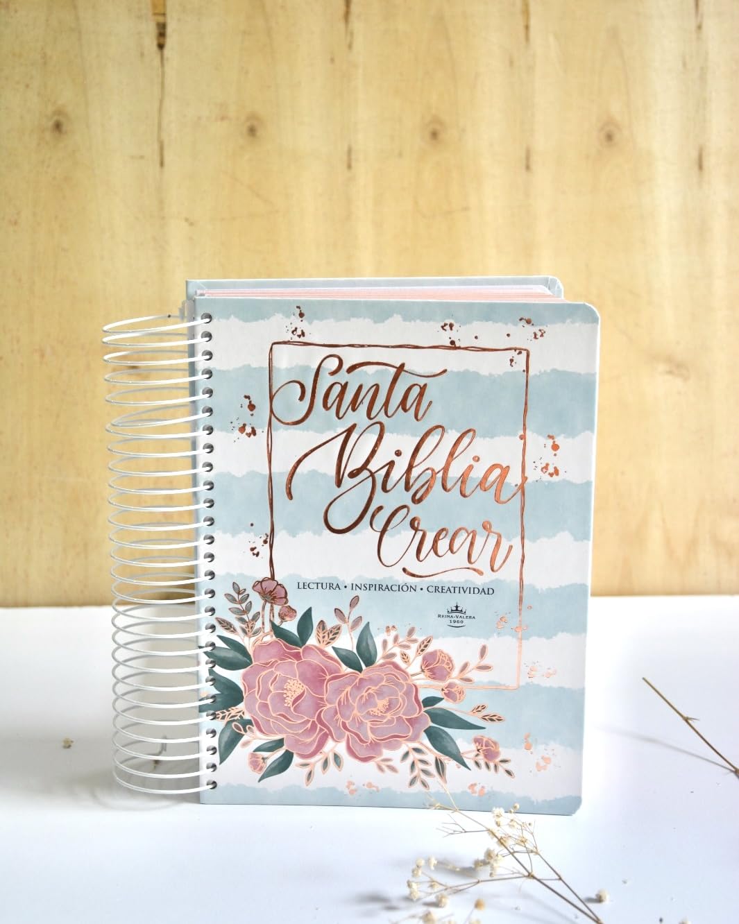 Biblia Crear RVR 1960 con espacio para notas y dibujos.