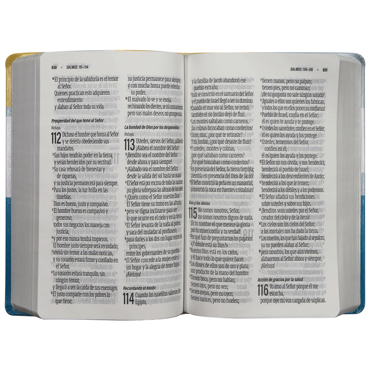 Biblia Reina Valera Contemporánea Letra Gigante Imitación piel