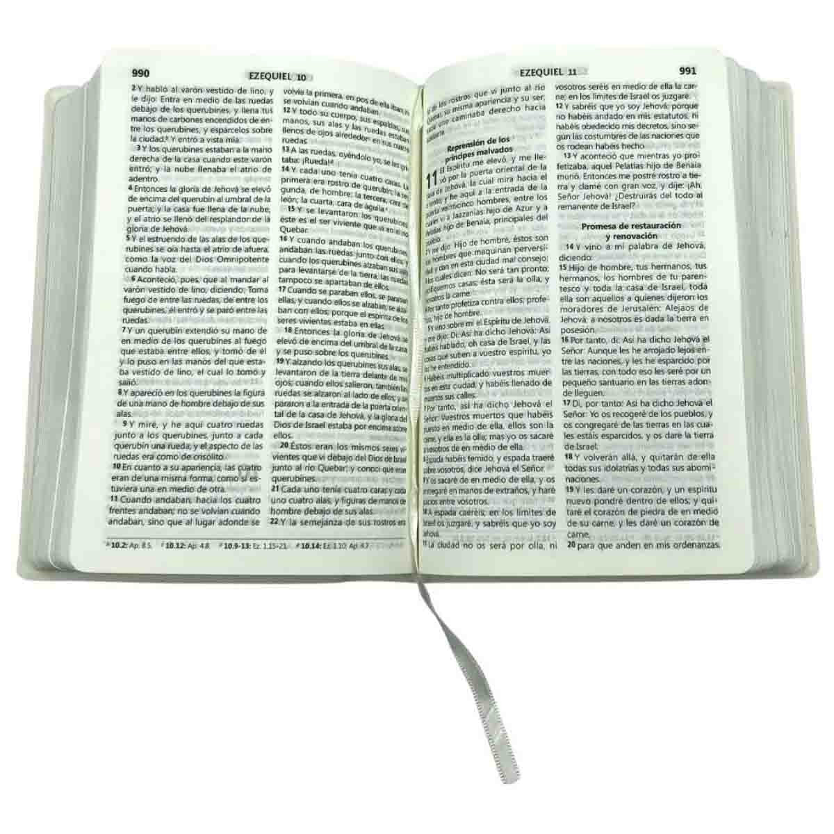 Biblia RVR 1960 compacta concordancia letra mediana crema flores