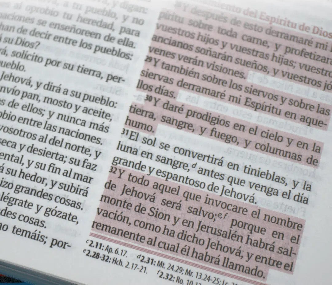 Biblia Ilustrada para niños Reina Valera 1960