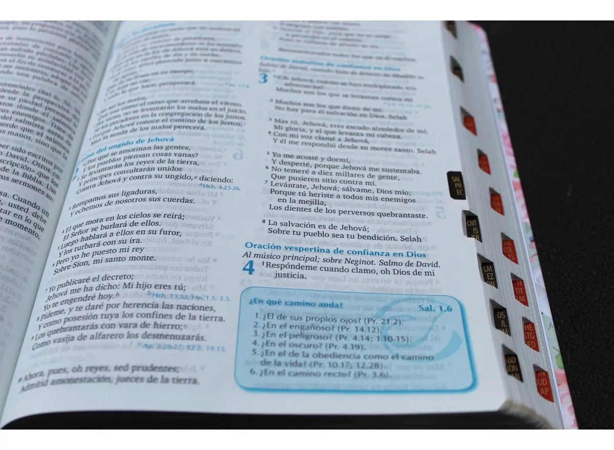 Biblia de la predicación para mujer 10 puntos con índice verde
