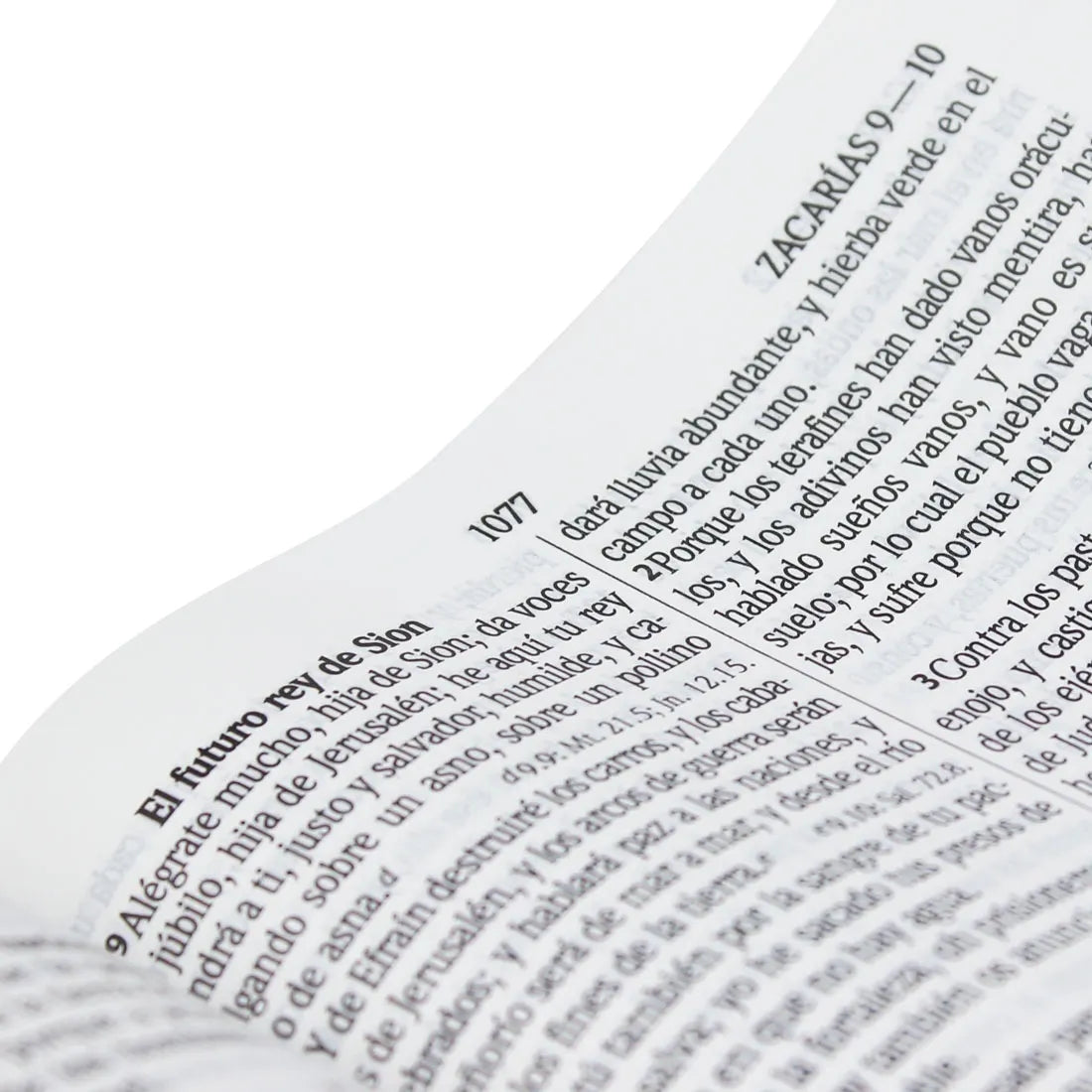 Reina Valera 1960 Letra Grande Índice Concordancia Blanca con Rosa