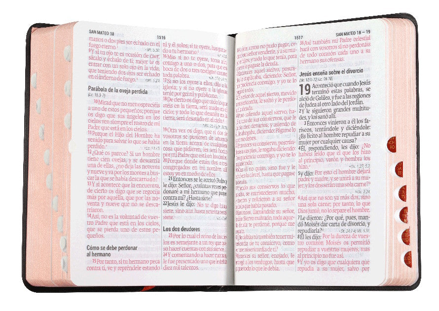 Biblia Reina Valera 1960 Chica Letra Grande Vinil Negro